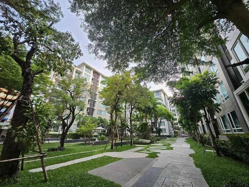 รูป S020033 Elements Srinakarin - รูปที่ 1/1