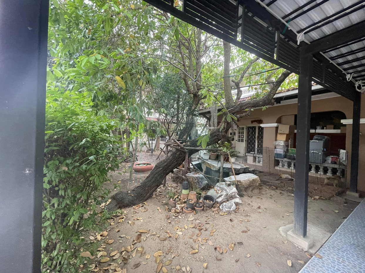 รูป 📌 ขายบ้านเดี่ยว ชลลดา บางบัวทอง 2 ชั้น 4 ห้องนอน 2 ห้องน้ำ - รูปที่ 8/8