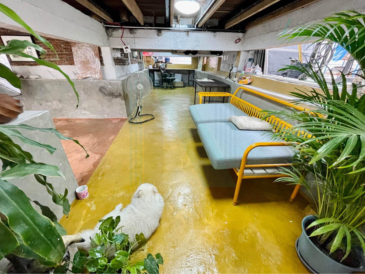 รูป 📌 ขายบ้านแฝด โครงการ หมู่บ้านเมืองนนท์นิเวศน์ 1 ชั้น 2 ห้องนอน 2 ห้องน้ำ - รูปที่ 7/8