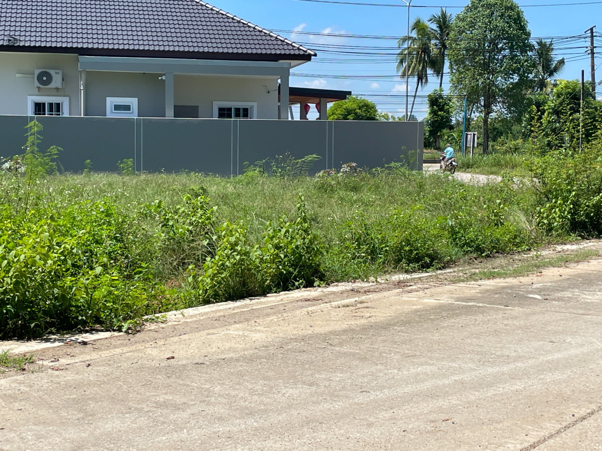 ขาย ที่ดินแปลงสวย 193 วา2 เพียง 2 กม. จาก ม.สงขลานครินทร์วิทยาเขตตรัง