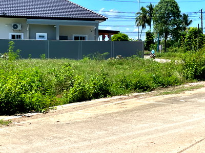 Land for sale : Beautiful Corner Land for Sale – 193 sq.wah, Only 2 km from Prince of Songkla University, Trang Campus
