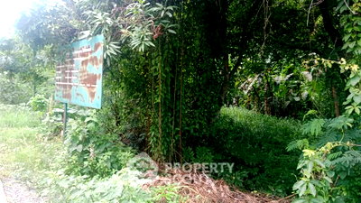 Land for sale Chiang Mai : Land For Sale Near San Kam Phaeng Hot Spring, Chiang Mai (ID 3119152)
