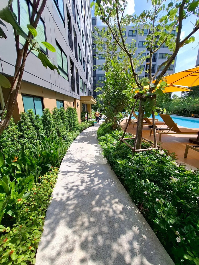 picture ðĒâĻ Urgent Sale: Way Ayutthaya â beautiful, move-in ready unit. Message us now! - 24/25