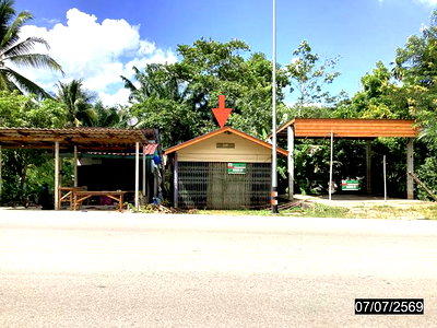 บ้านเดี่ยว ชุมพร : บ้านเดี่ยว 49 ตร.วา ปะทิว ชุมพร 1.2M