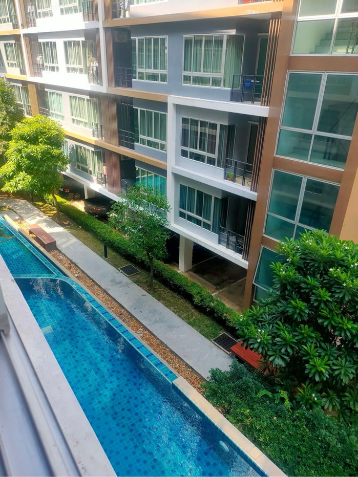 รูป ขาย-ให้เช่า พลัสคอนโด สุราษฎร์ฯ - รูปที่ 11/15