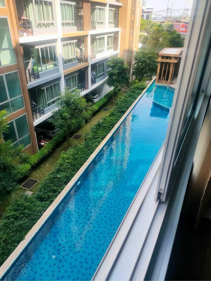 รูป ขาย-ให้เช่า พลัสคอนโด สุราษฎร์ฯ - รูปที่ 10/15