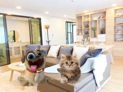 รูปภาพ Rare🎯3Bed Pet-Friendly Apartment for Rent Sukhumvit Phromphong🌿 Rooftop Garden😽2Pets 15kg each🔥Best Price!! for this size over 100 sqm! and area!!