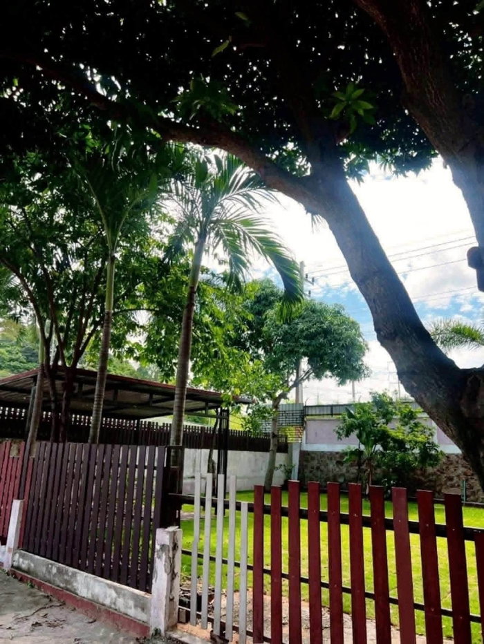 รูป บ้านเดี่ยวให้เช่า โซนเขาขยาย – บ่อวิน
หมู่บ้านมนตรา หลังใหญ่ พื้นที่เยอะที่สุดในหมู่บ้าน - รูปที่ 4/11
