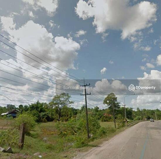 รูป ขายที่ดินใกล้สะพานมิตรภาพไทย-ลาว  จ.นครพนม - รูปที่ 2/5