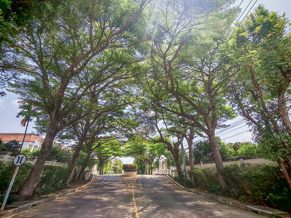 รูป ให้เช่าบ้านสวน 5 ห้องนอน ใกล้ สาทร-BTS บางหว้า - รูปที่ 18/19