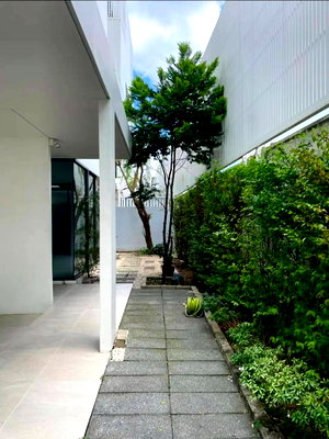 Twin houses for rent Don Mueang Airport : AKVD101 For Rent: Twin house in Akin Vibhavadi 84 project, corner unit, north facing, 3.5 stories, 41.4 sq.wa., 3 bedrooms, 4 bathrooms. 95,000 THB. 