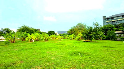 Land for sale Rubberland : Prime land for sale in South Pattaya, near Walking Street. Beautiful plot, ideal for investment.