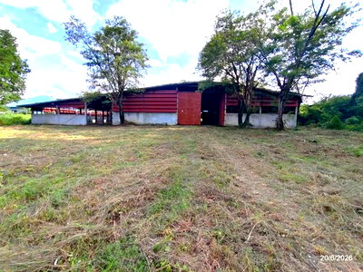 ขายโรงงาน : โกดัง 3472 ตร.วา เมืองหนองบัวลำภู หนองบัวลำภู 13.9M