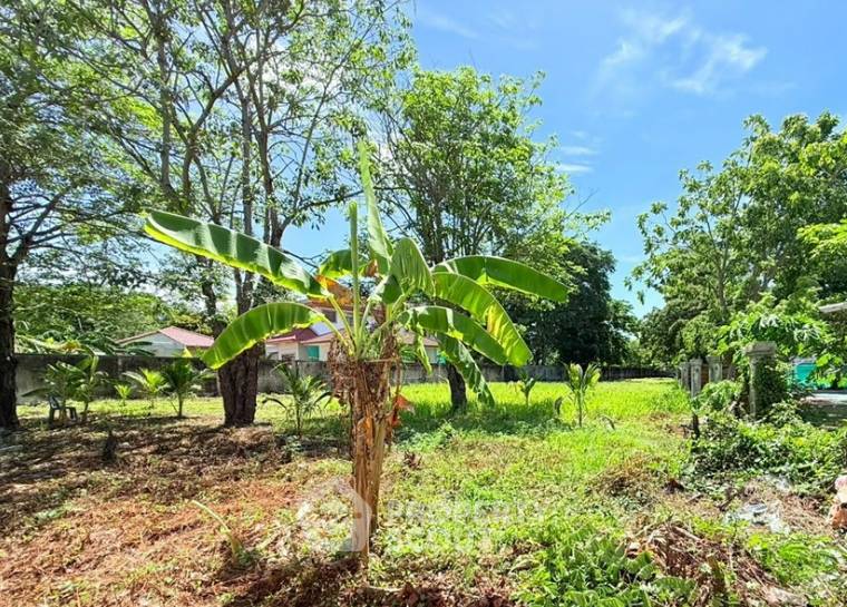รูป ที่ดินเปล่าขาย ทำเลทวีวัฒนา กรุงเทพฯ (ID 3183646) - รูปที่ 3/3