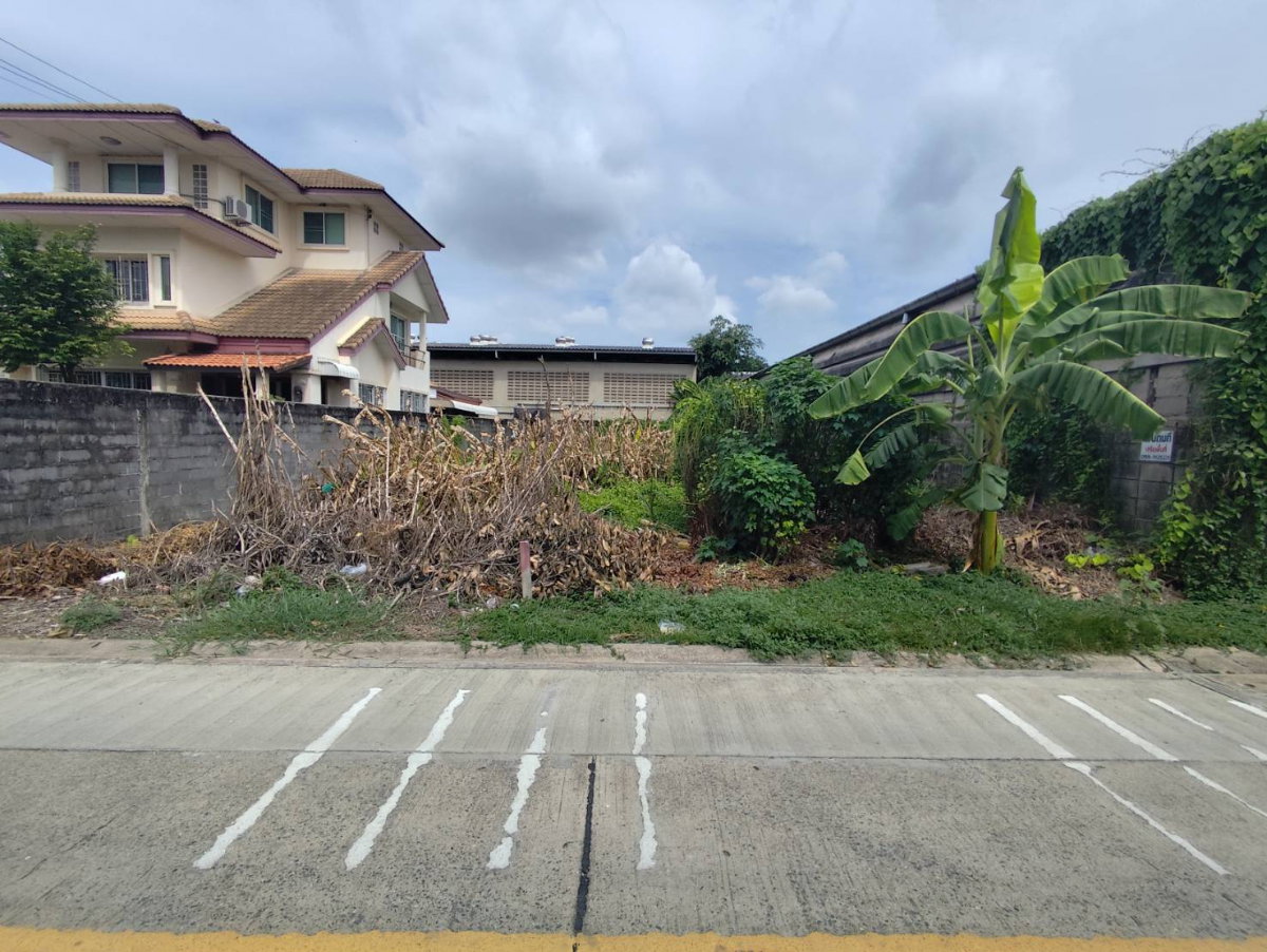 รูป ขายที่ดินเปล่าเพชรเกษม77 แยก3-6 - รูปที่ 1/7