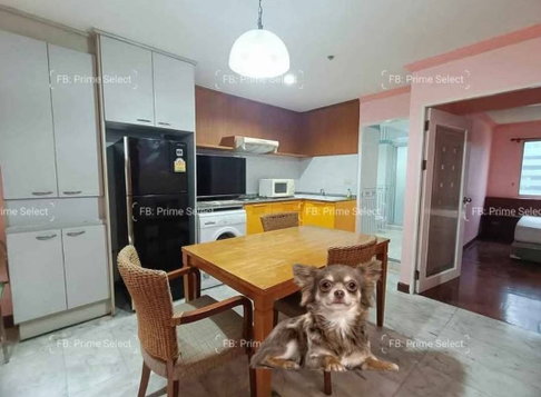 Big 1 Bed Pet Friendly Apartment for Rent Sukhumvit Central Bangkok✨Near BTS Ploenchit, MRT Petchaburi🔰 We can show all available units here