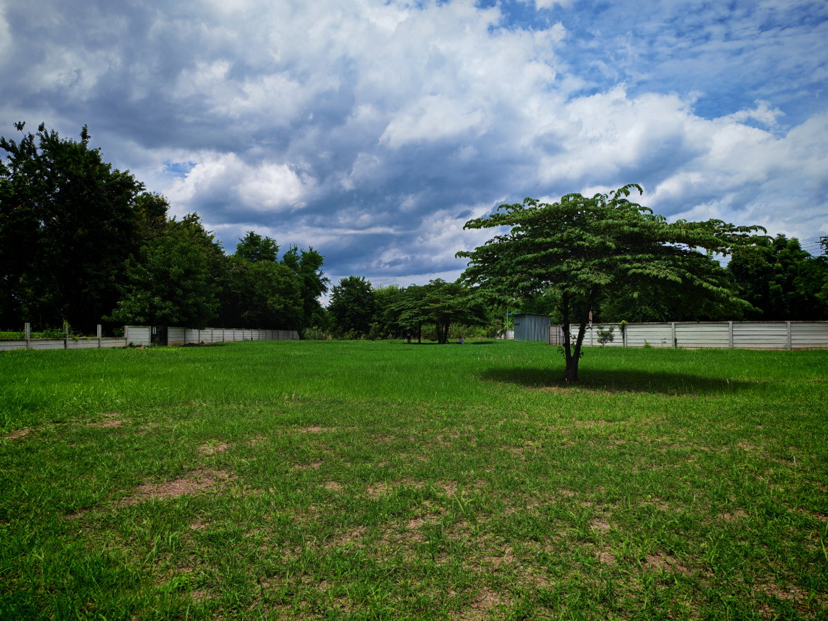 ที่ดินศาลายา 2 ไร่ ติดสนามกอล์ฟ ถมแล้ว ล้อมรั้วสูง 2 เมตร พร้อมสร้างบ้าน