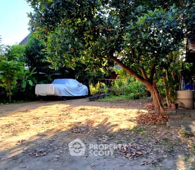 Land for sale Chiang Mai : Land For Sale In Nong Phueng, Saraphi, Chiang Mai (ID 3143183)