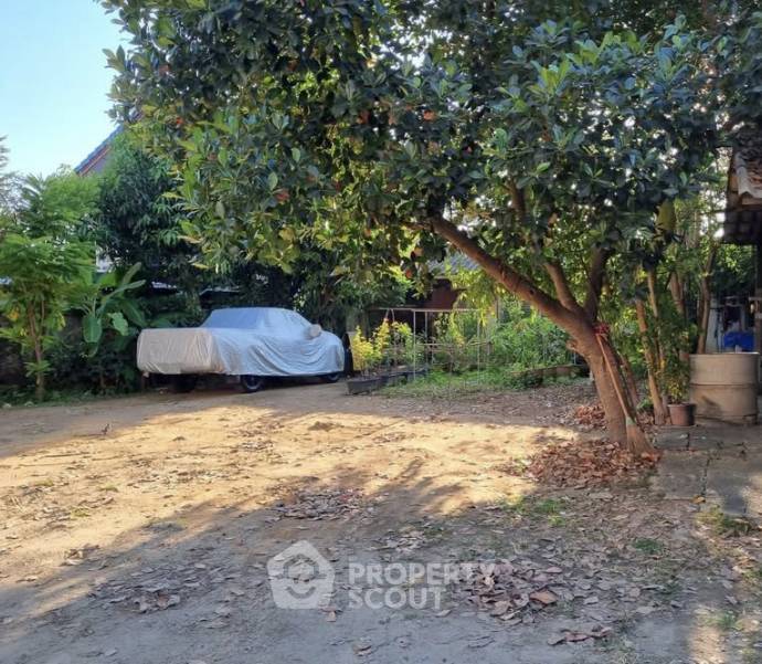 รูป ขายที่ดินในหนองผึ้ง สารภี เชียงใหม่ (ID 3143183) - รูปที่ 1/3