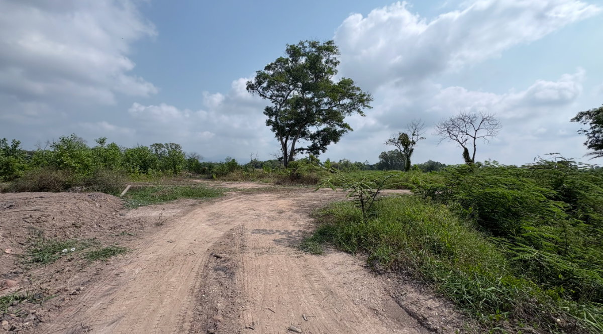 รูป ขายที่ดิน 6 ไร่ วิวภูเขา ต.บ้านพร้าว อ.บ้านนา จ.นครนายก - รูปที่ 12/15