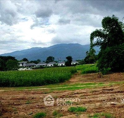 Land for sale Chiang Mai : Land For Sale In San Phisuea, Chiang Mai (ID 3143214)
