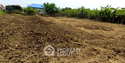 Land for sale Chiang Mai : 1,899 Sqm Land For Sale In Yu Wa, San Pa Tong, Chiang Mai (ID 3194669)