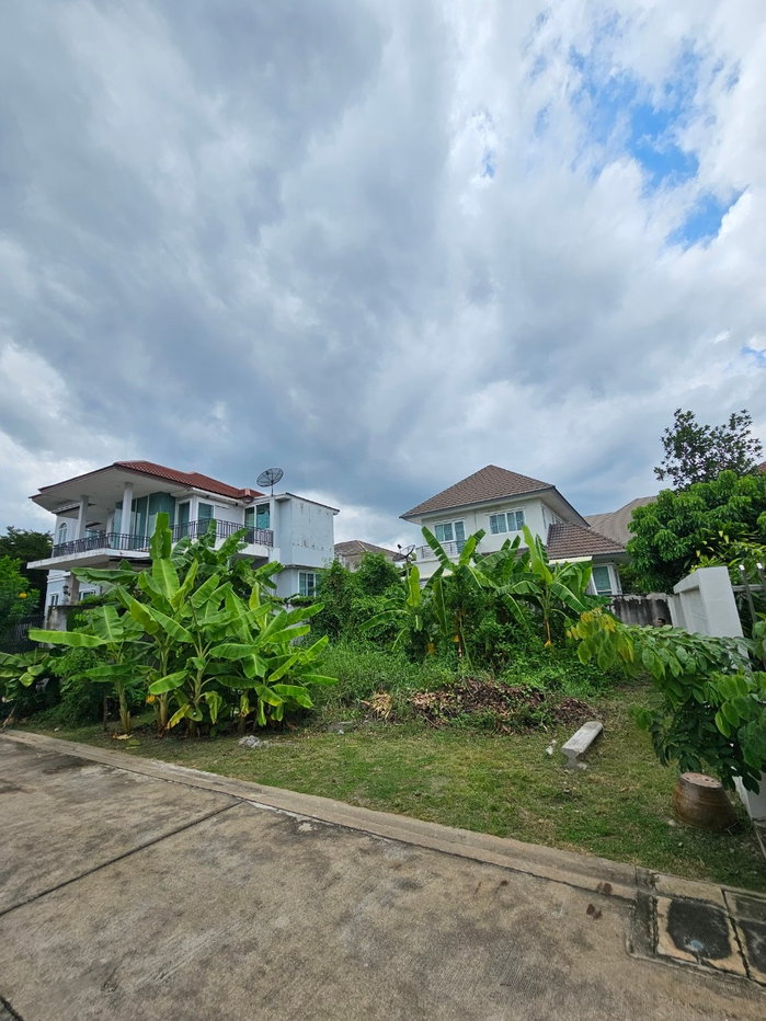 รูป ขายที่ดิน หมู่บ้านปัญจทรัพย์พาร์ค ติดถนนบรมราชชนนี แปลงสวย สำหรับปลูกบ้าน - รูปที่ 8/21