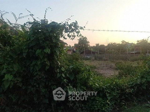 ที่ดิน 126 ตร.ม. ขายในสารภี เชียงใหม่ (ID 3139537)