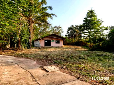 Houses for sale : HOME 322 Sq.w. Phang Khon Sakon Nakhon for 1.4M
