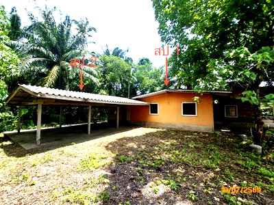 Houses for sale Surat Thani : HOME 224.4 Sq.w. Wiang Sa Surat Thani for 656,000