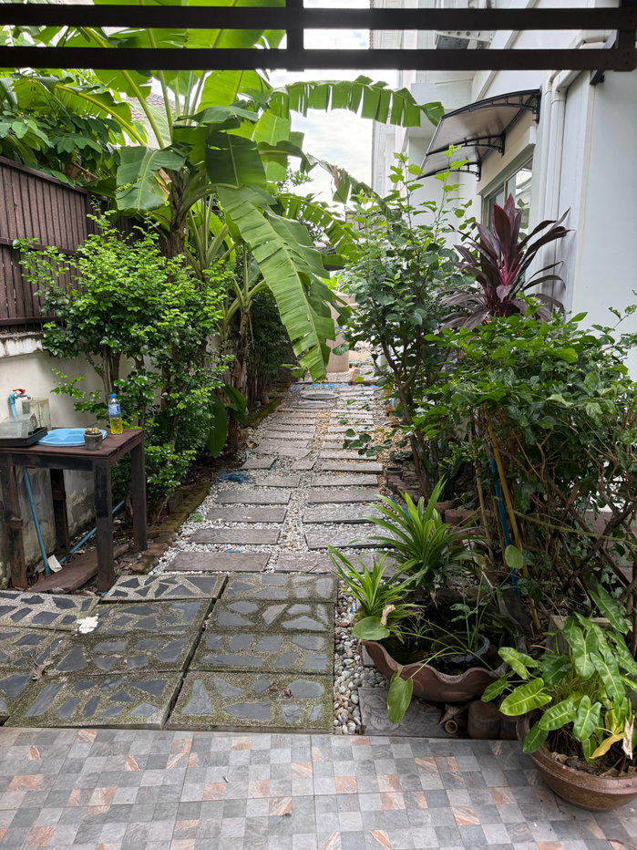 รูป บ้านเดี่ยวให้เช่า ซ.รามคำแหง 174 ใกล้ รร.นานาชาติร่วมฤดี - รูปที่ 8/31