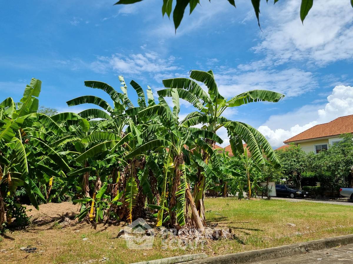 รูป ที่ดินขายย่านอนุสาวรีย์ บางเขน กรุงเทพฯ (ID 3200134) - รูปที่ 2/3
