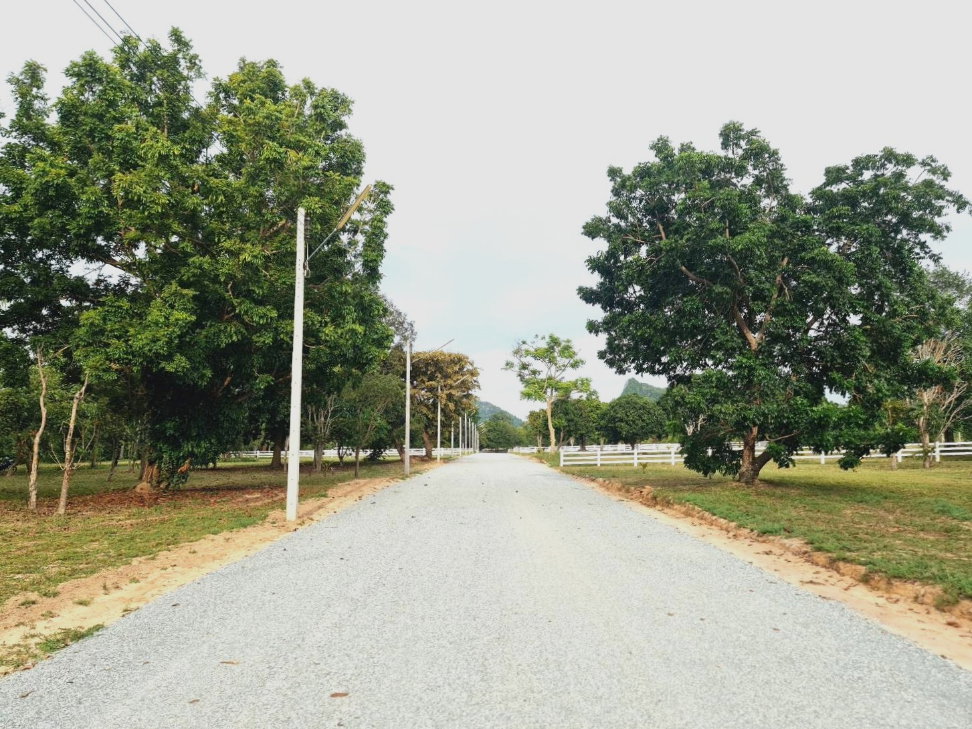 รูป ขายที่ดินเขาชีจรรย์ บรรยากาศร่มรื่น วิวภูเขา ขนาด 1 ไร่ ใกล้ Chee Chan Golf Resort  - รูปที่ 2/8
