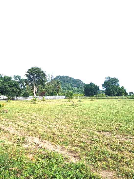 รูป ขายที่ดินเขาชีจรรย์ บรรยากาศร่มรื่น วิวภูเขา ขนาด 1 ไร่ ใกล้ Chee Chan Golf Resort  - รูปที่ 3/8
