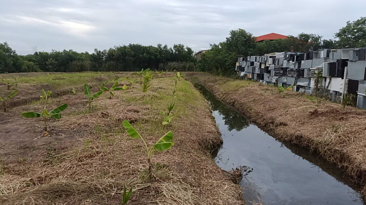 รูป ขาย ที่ดินเปล่า  ที่ ซอยเอราวัณ 20, ใกล้ตลาดไท - รูปที่ 15/18