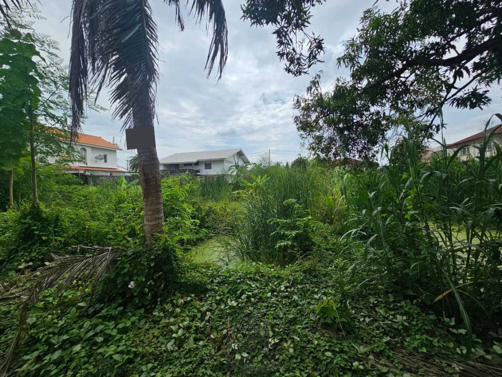 รูป ขายที่ดิน 2 แปลงติดกัน ใกล้เซ็นทรัลแจ้งวัฒนะ ทำเลติวานนท์–ปากเกร็ด 22 | บางพูด | นนทบุรี - รูปที่ 10/11