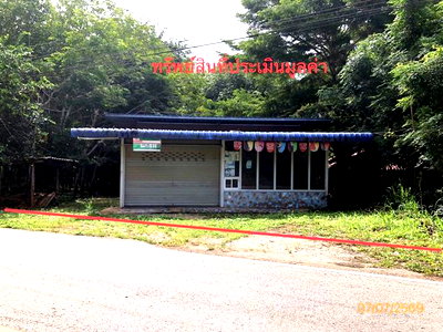 Houses for sale : HOME 110 Sq.w. Phunphin Surat Thani for 1.3M