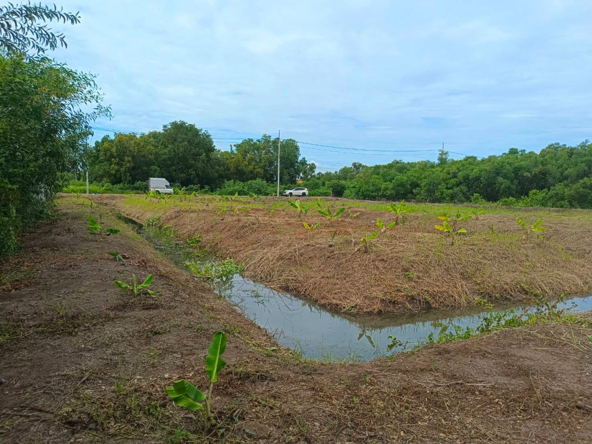 รูป ขาย ที่ดินเปล่า  ที่ ซอยเอราวัณ 20, ใกล้ตลาดไท - รูปที่ 10/18