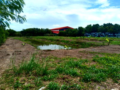 ขายที่ดิน : ขาย ที่ดินเปล่า  ที่ ซอยเอราวัณ 20, ใกล้ตลาดไท