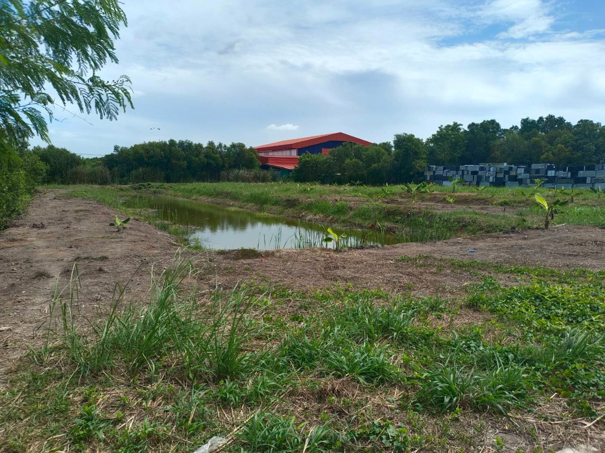 รูป ขาย ที่ดินเปล่า  ที่ ซอยเอราวัณ 20, ใกล้ตลาดไท - รูปที่ 1/18