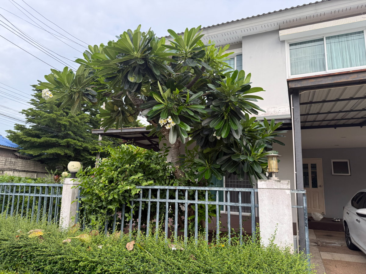 รูป บ้านเดี่ยวให้เช่า ซ.รามคำแหง 174 ใกล้ รร.นานาชาติร่วมฤดี - รูปที่ 11/31