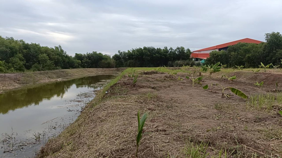 รูป ขาย ที่ดินเปล่า  ที่ ซอยเอราวัณ 20, ใกล้ตลาดไท - รูปที่ 18/18