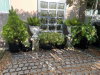 listing thumbnail image 37