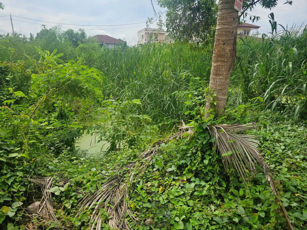 รูป ขายที่ดิน 2 แปลงติดกัน ใกล้เซ็นทรัลแจ้งวัฒนะ ทำเลติวานนท์–ปากเกร็ด 22 | บางพูด | นนทบุรี - รูปที่ 11/11