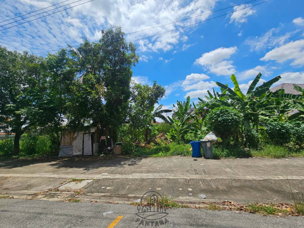 รูป ขายที่ดิน 2 แปลงติดกัน ใกล้เซ็นทรัลแจ้งวัฒนะ ทำเลติวานนท์–ปากเกร็ด 22 | บางพูด | นนทบุรี - รูปที่ 3/11