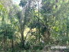 listing thumbnail image 22