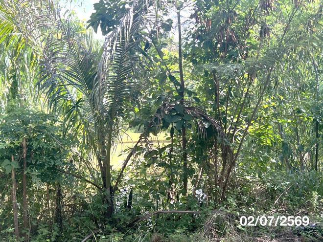 รูป โกดัง 6641 ตร.วา เมืองอำนาจเจริญ อำนาจเจริญ 7.6M - รูปที่ 23/49