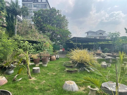 ขายที่ดินสุขุมวิท 77 แปลงใหญ่ 191 ตร.ว อ่อนนุช 14 ใกล้ BTS อ่อนนุช ถนนหน้าที่กว้าง สภาพแวดล้อมดี เงียบสงบ ปากซอยมีแม็คโคร ปรีดี พัฒนาการ 0879074045