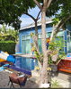 listing thumbnail image 8