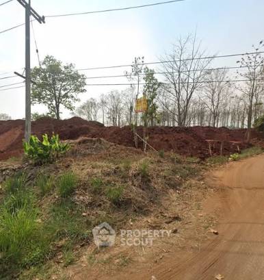 รูป ขายที่ดินในเมืองเก่าเชียงใหม่ ตำบลศรีภูมิ (ID 3187778) - รูปที่ 3/3